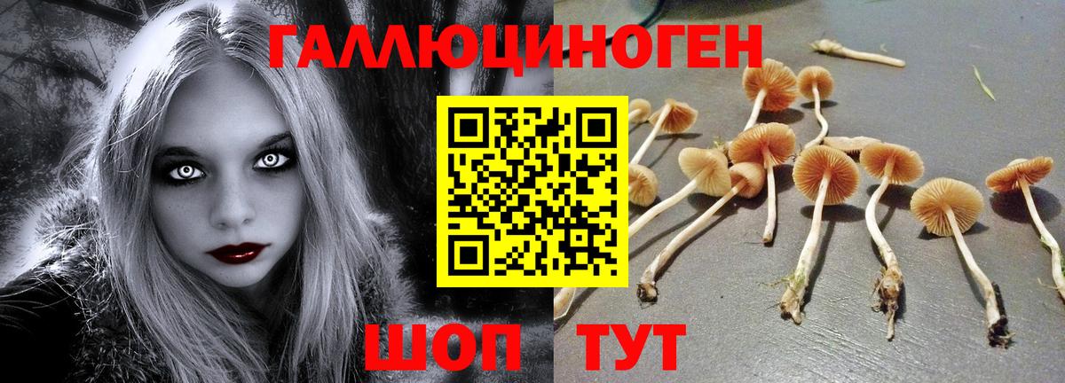 Галлюциногенные грибы прущие грибы  Вход с VPN  Псилоцибиновые грибы ЛСД  Елец 